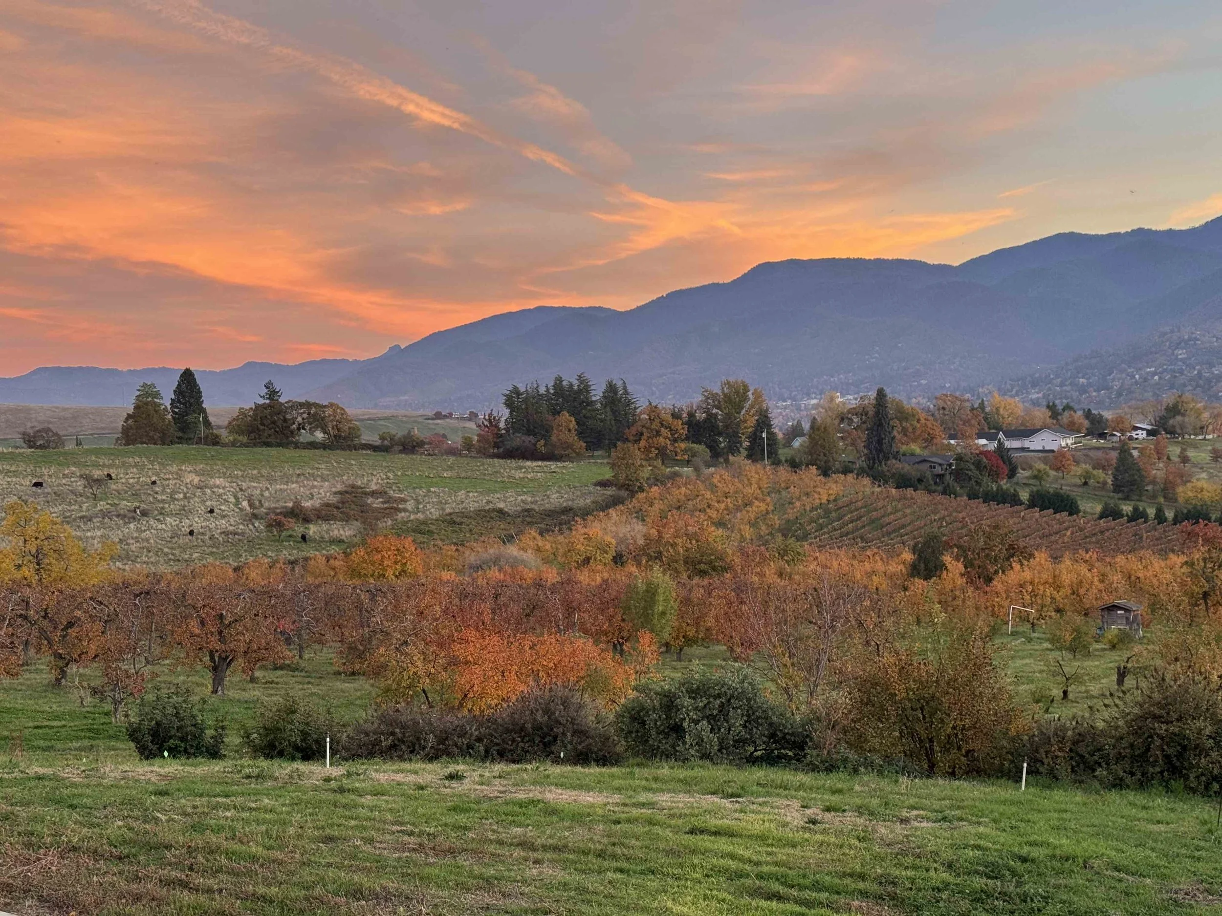 Events — Long Walk Vineyard | Ashland, Oregon - Winery